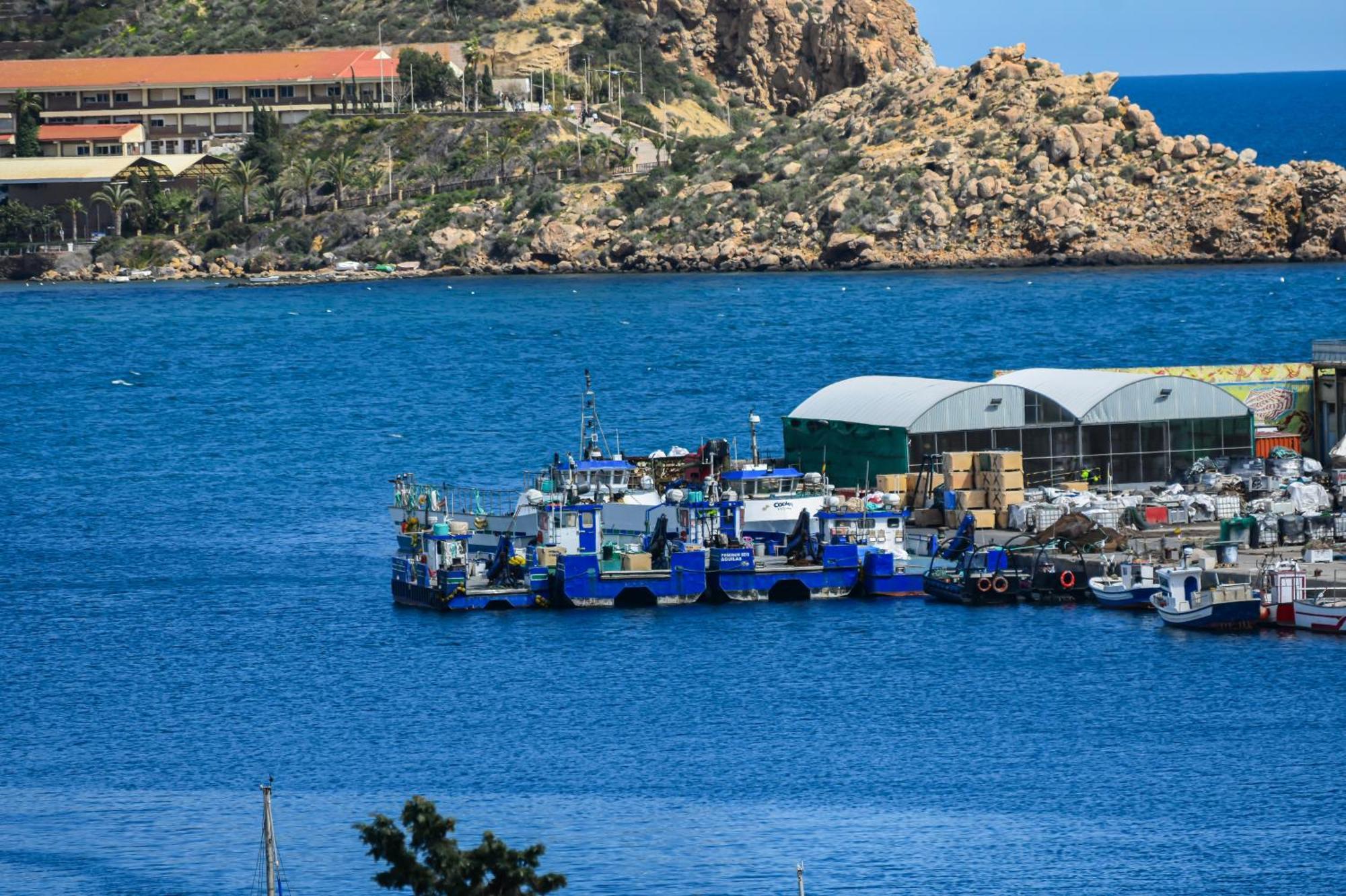 Dream View Aguilas - By Aloha Palma Exteriör bild